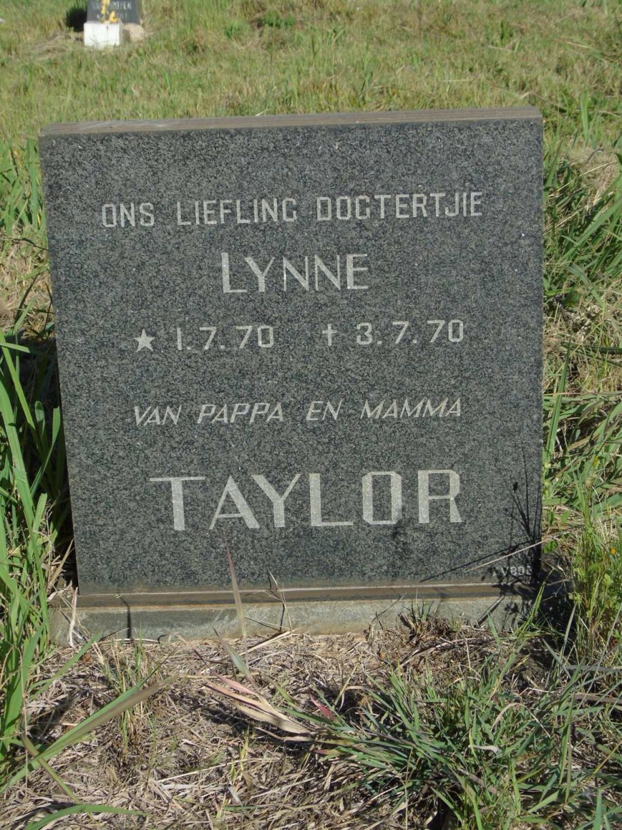 TAYLOR Lynne 1970-1970