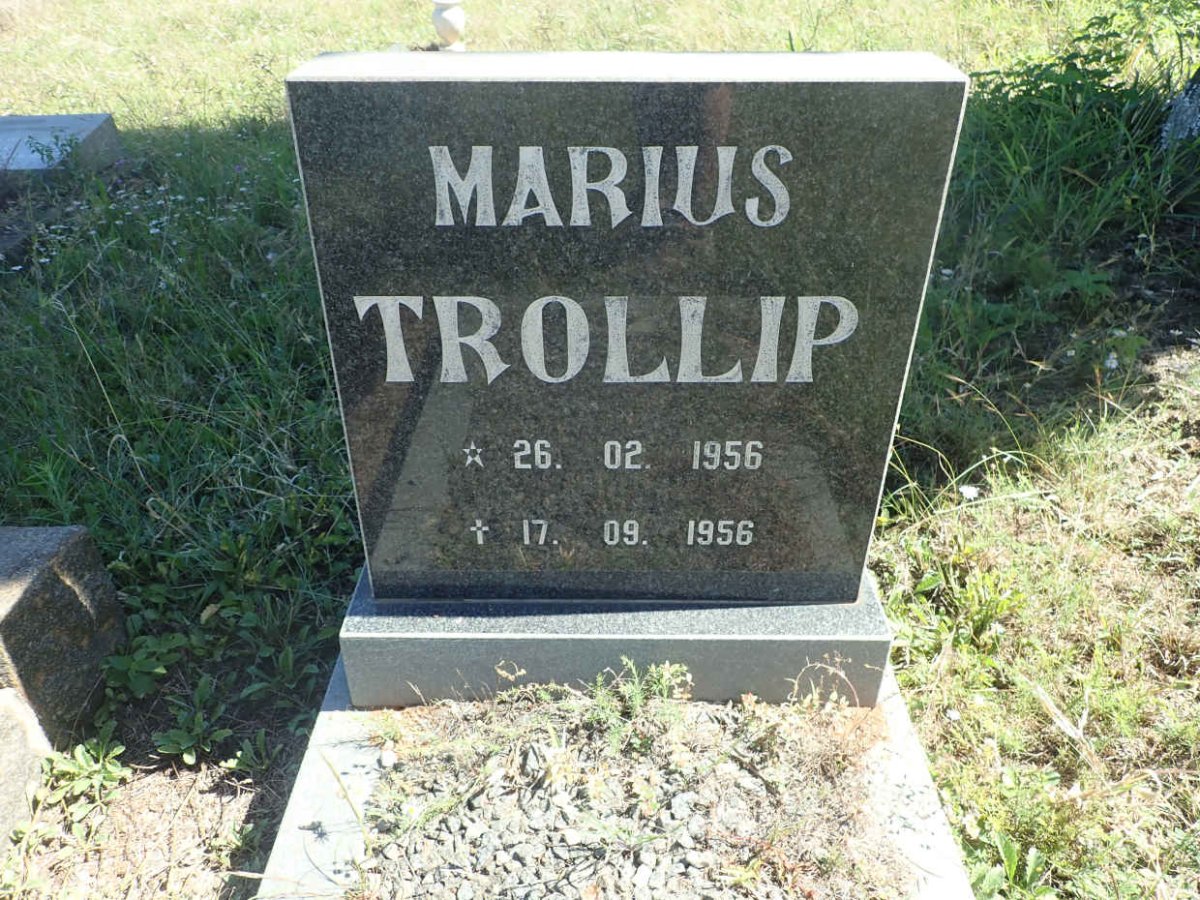 TROLLIP Marius 1956-1956