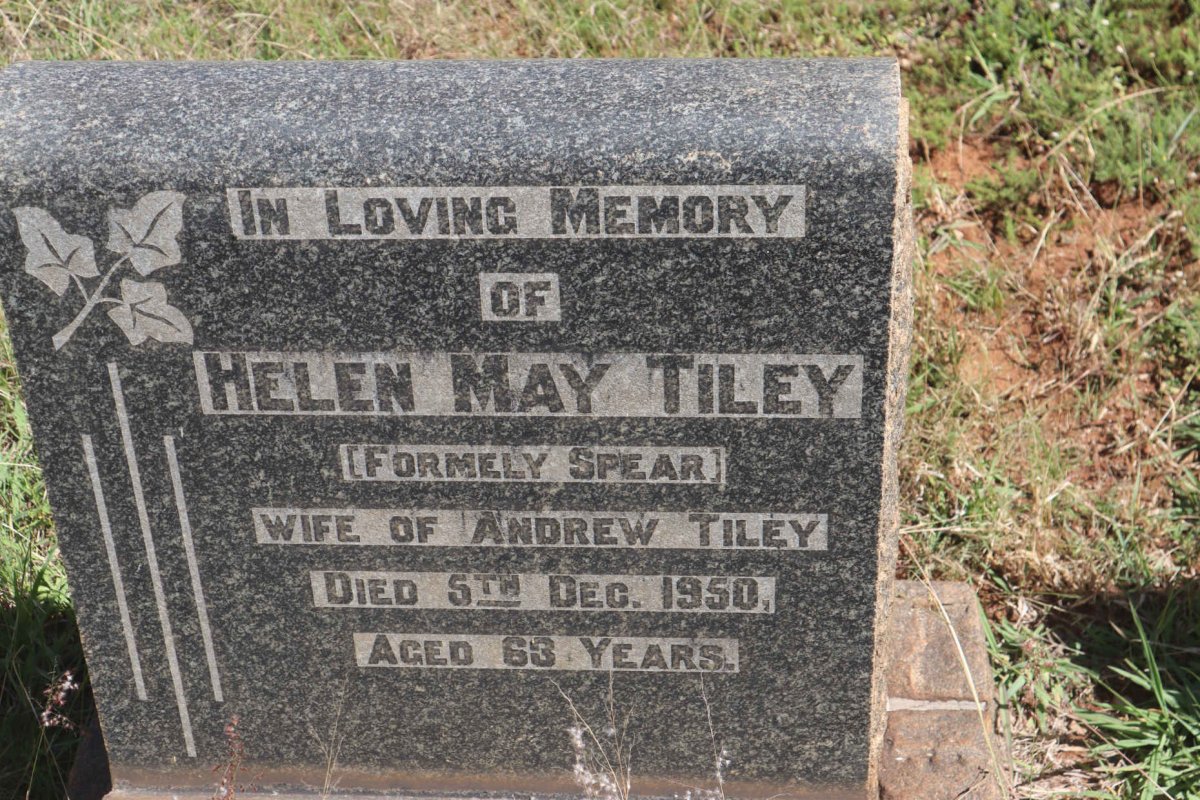 TILEY Helen May formerly SPEAR -1950