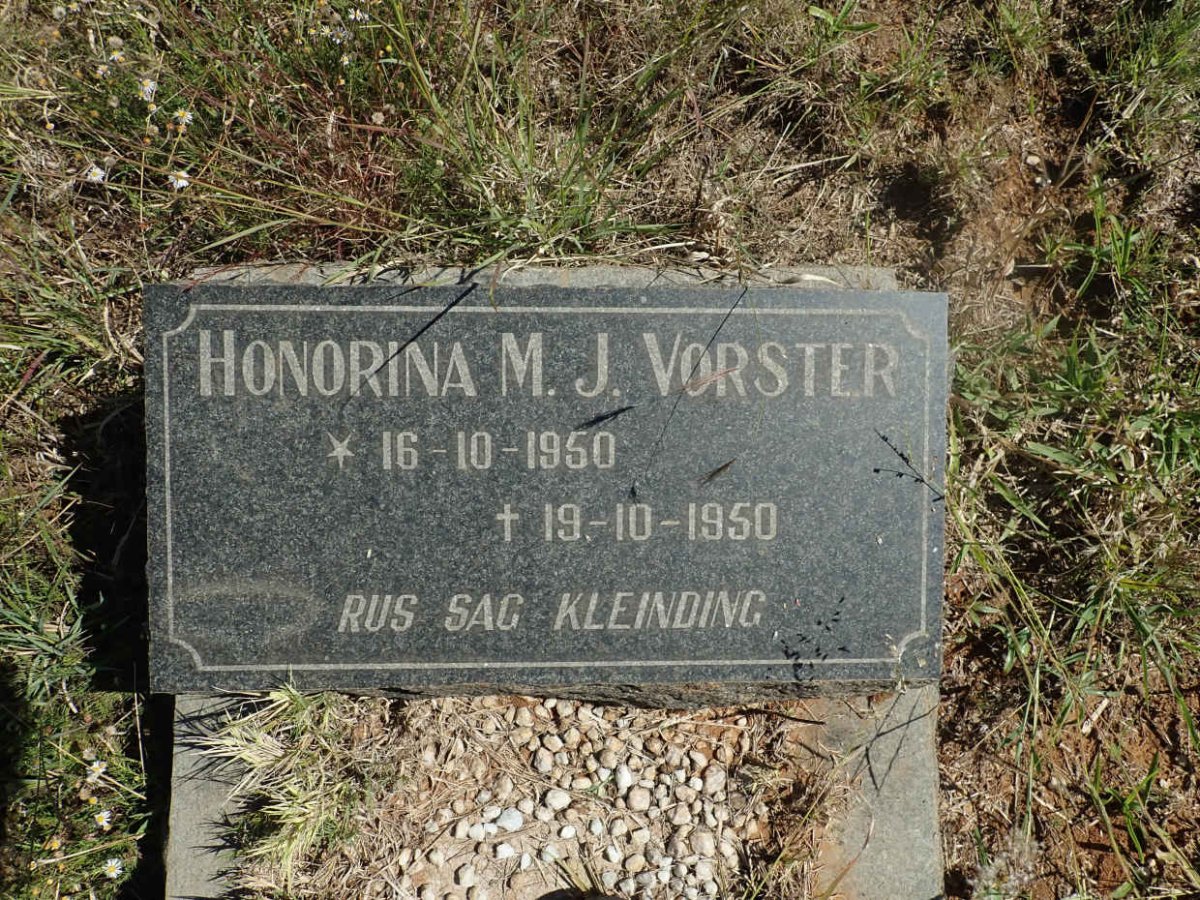VORSTER Honorina M.J. 1950-1950