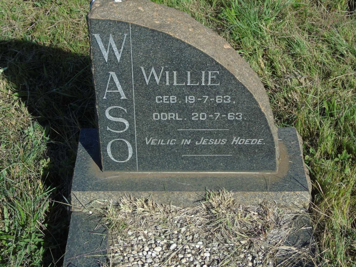 WASO Willie 1963-1963