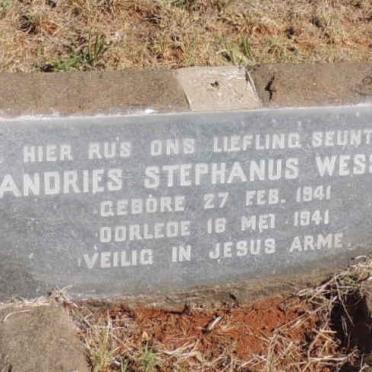 WESSELS Andries Stephanus 1941-1941