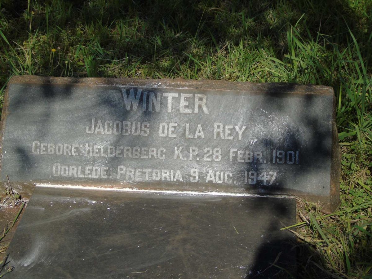 WINTER Jacobus De La Rey 1901-1947