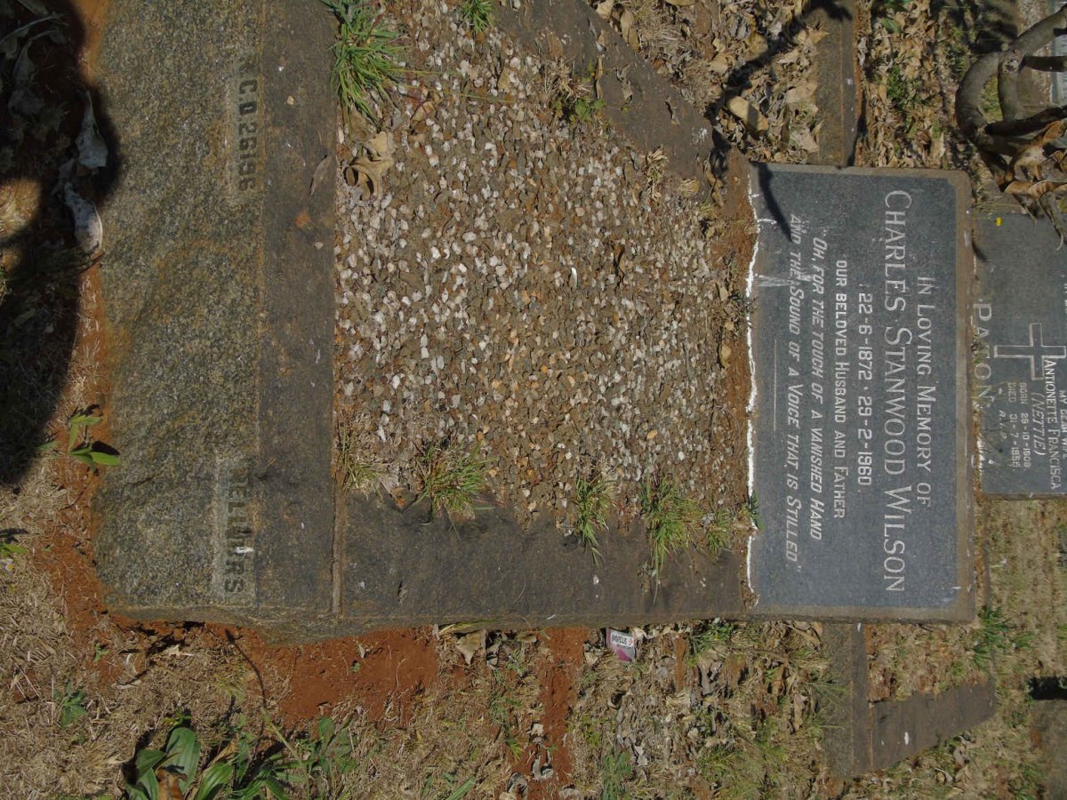 WILSON Charles Stanwood 1872-1960