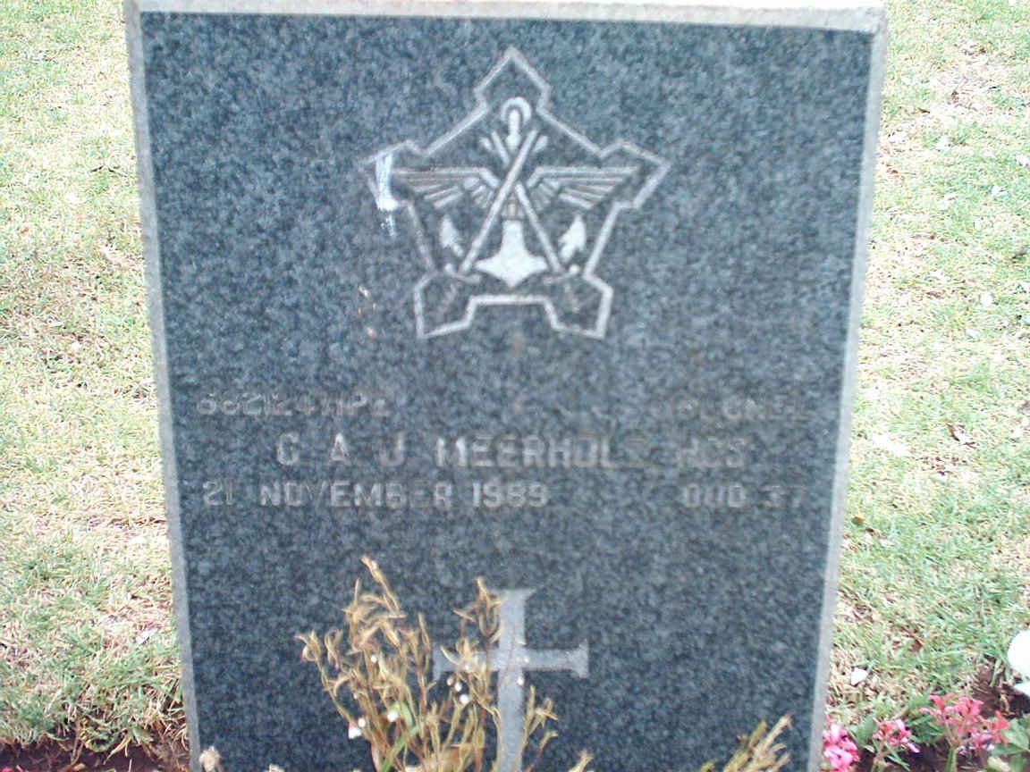 MEERHOLZ C.A.J. -1989