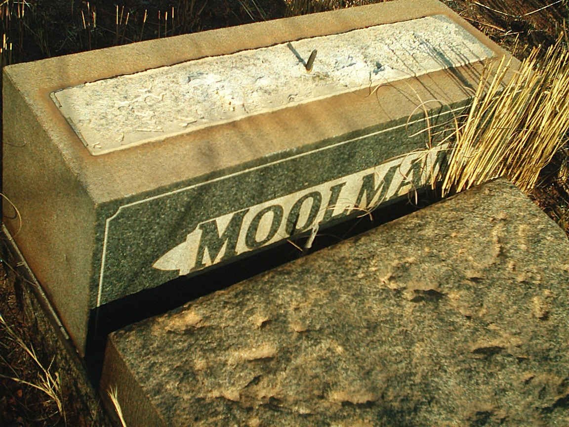 MOOLMAN