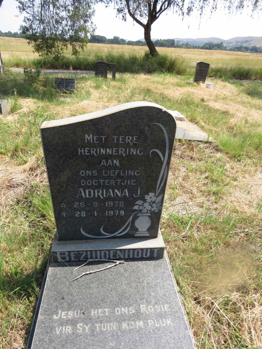 BEZUIDENHOUT Adriana J. 1978-1979
