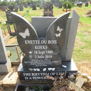 BOIS Enette, du 1989-2019
