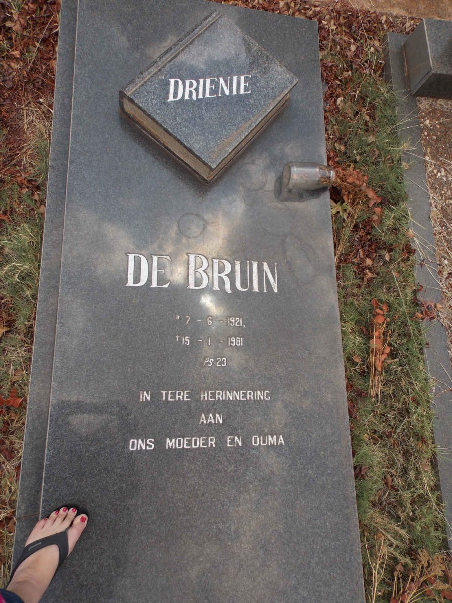 BRUIN Drienie, de 1921-1981