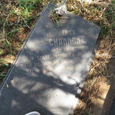CHANNON Erica 1987-1987