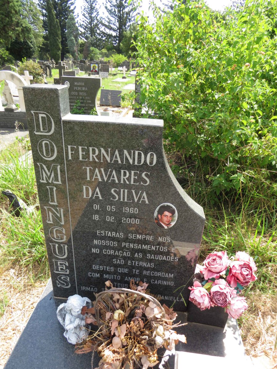 DOMINGUES Fernando Tavares Da Silva 1960-2000