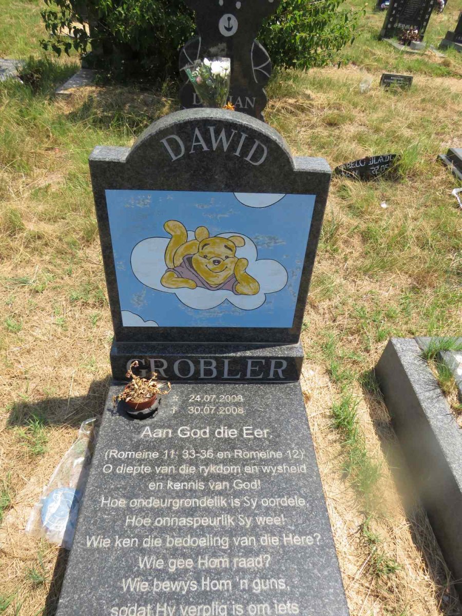 GROBLER Dawid 2008-2008