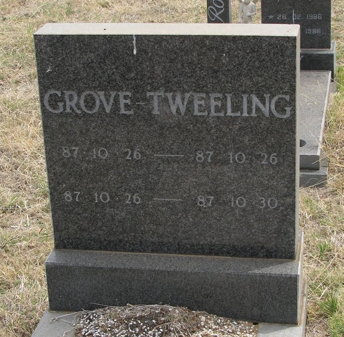GROVE 1987-1987 :: GROVE 1987-1987