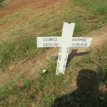 HARMSE Dawid 1949-2017