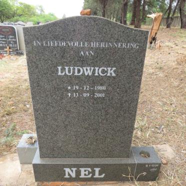 NEL Ludwick 1980-2001