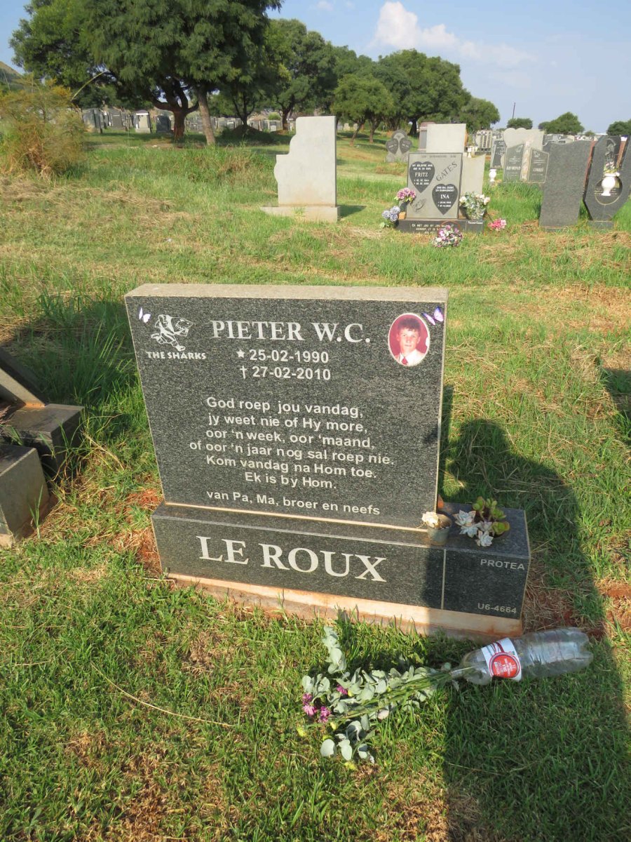 ROUX Pieter W.C., le 1990-2010