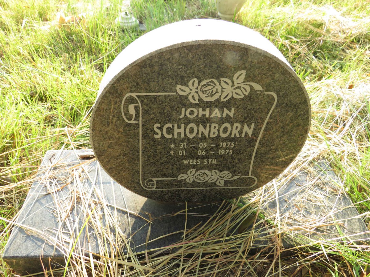 SCHONBORN Johan 1975-1975