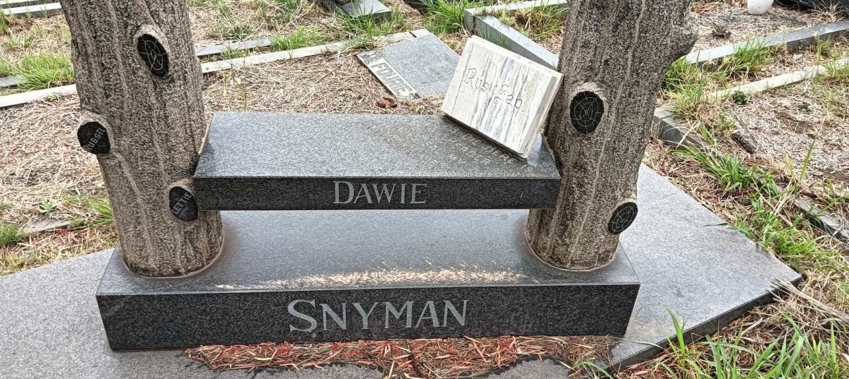 SNYMAN Dawie
