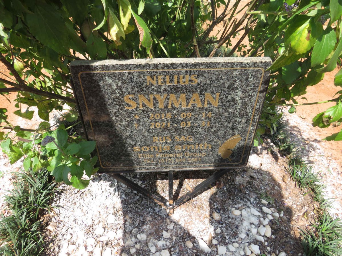 SNYMAN Nelius 2018-2021