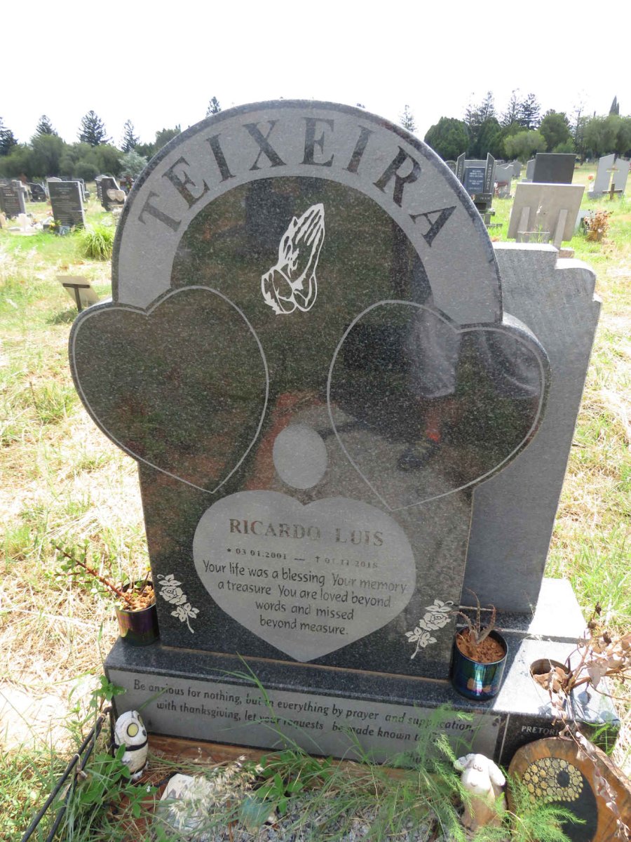 TEIXEIRA Ricardo Luis 2001-2018
