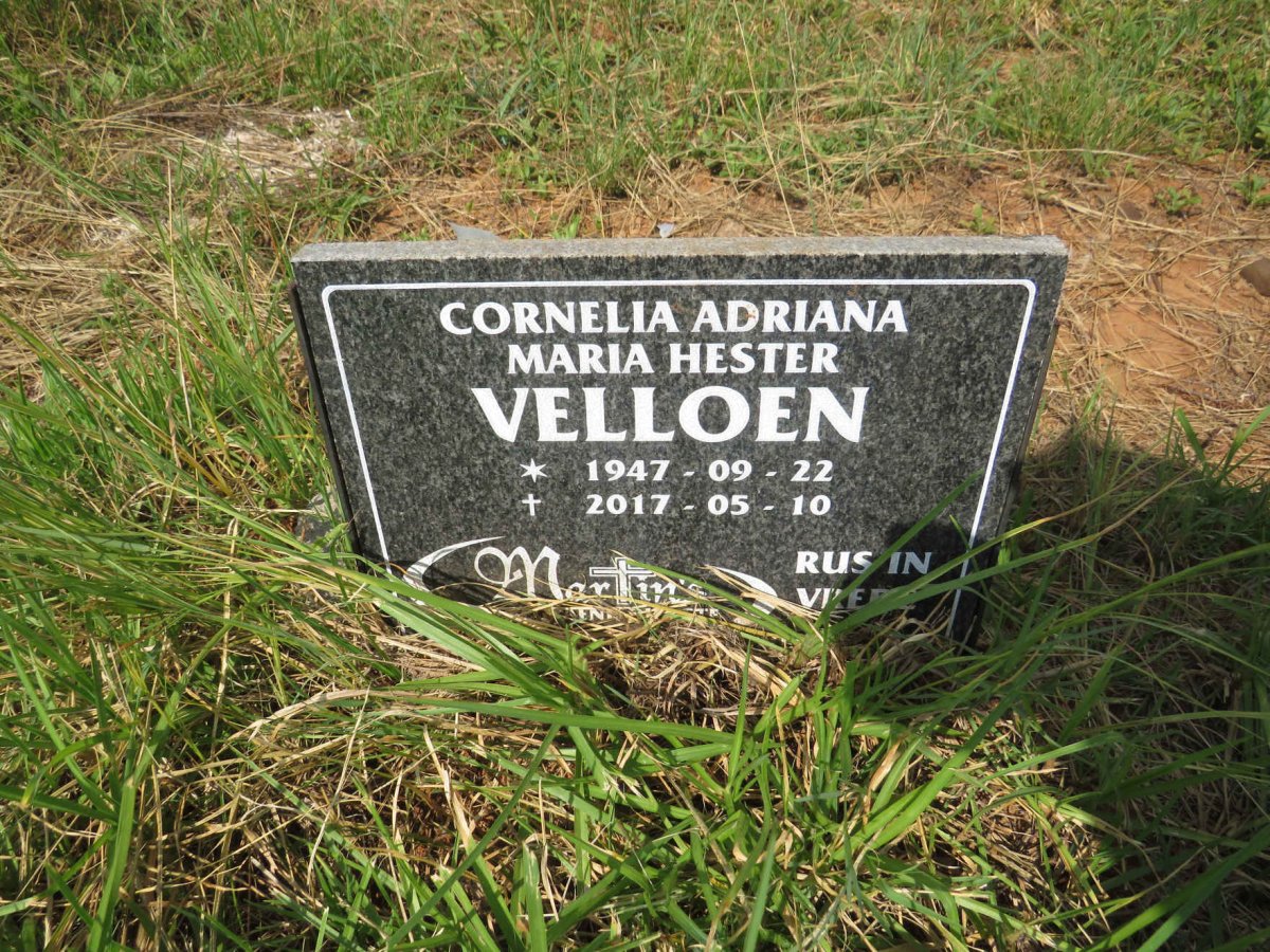 VELLOEN Cornelia Adriana Maria Hester 1947-2017