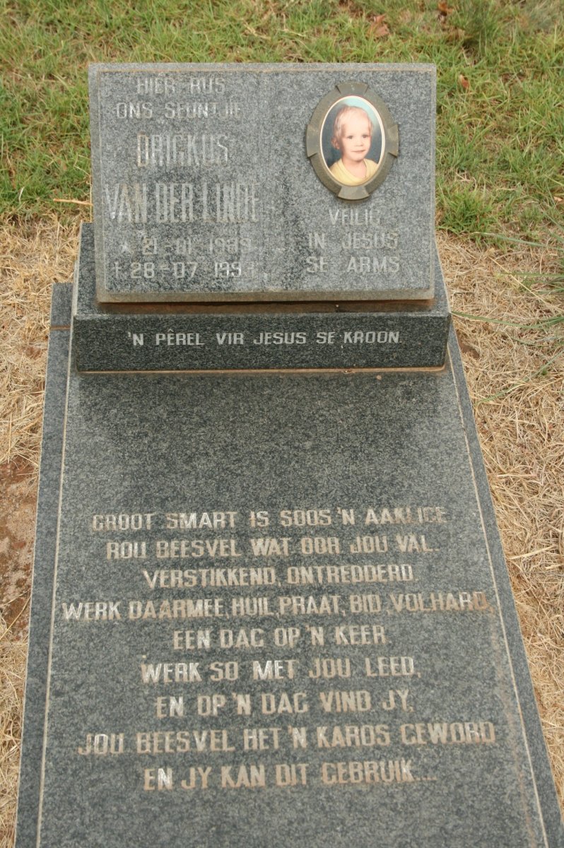 LINDE Drigkus, van der 1989-1993