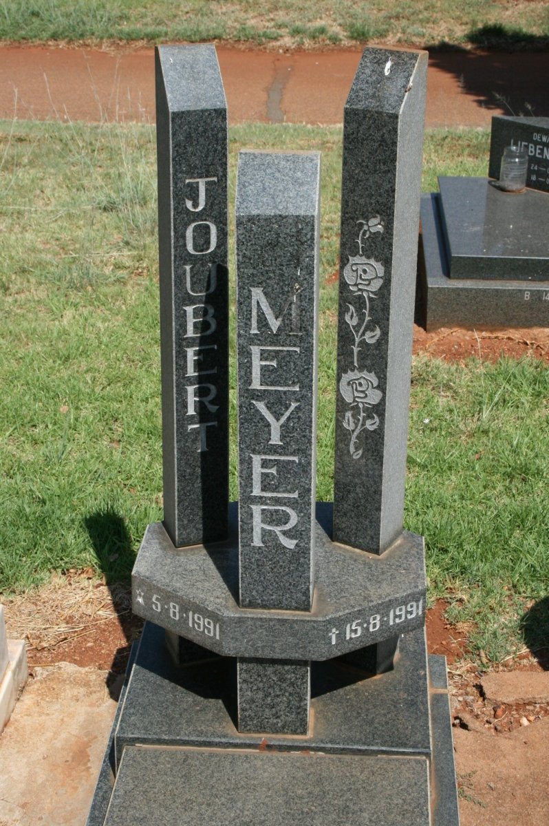 MEYER Joubert 1991-1991