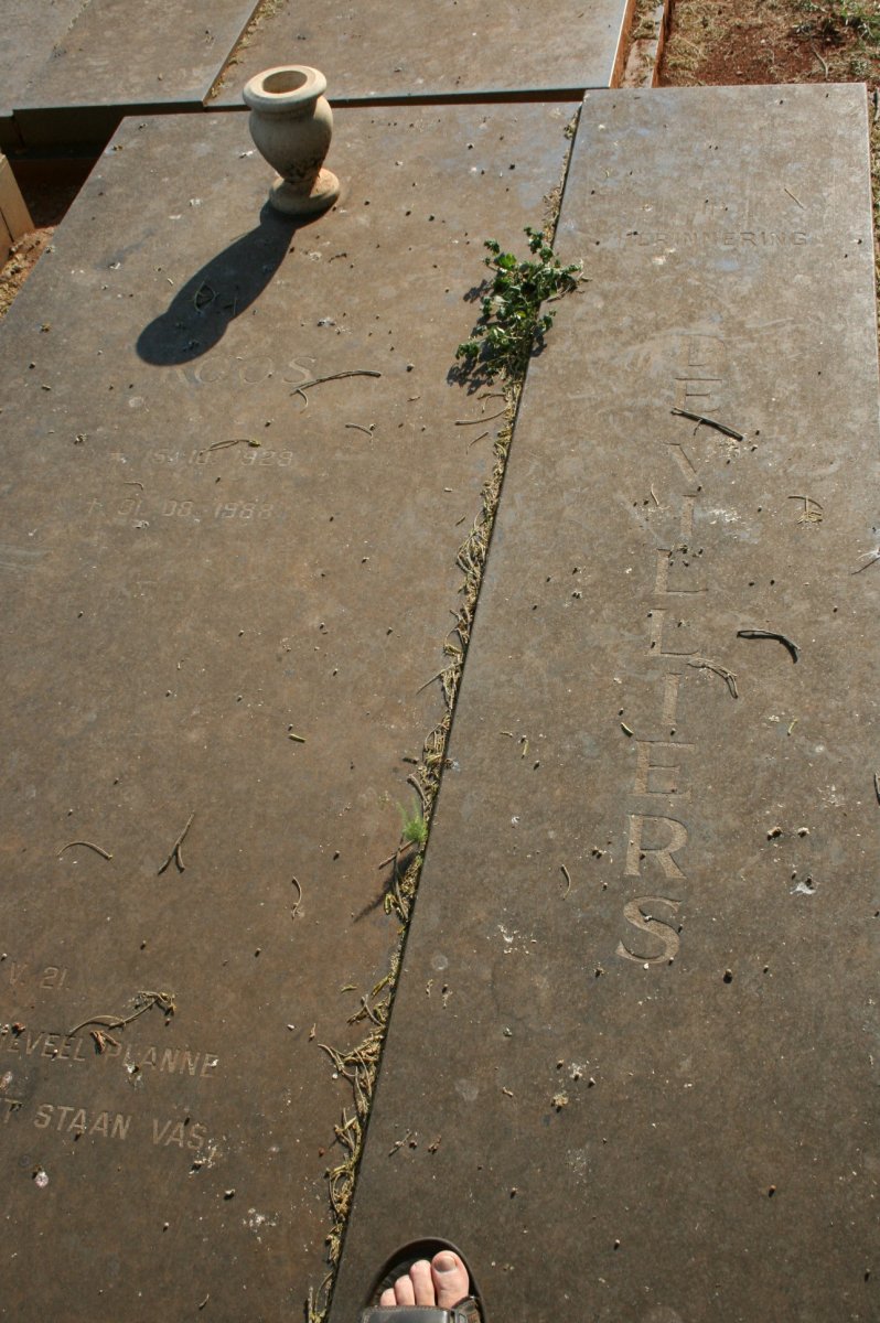 VILLIERS Koos, de 1928-1988