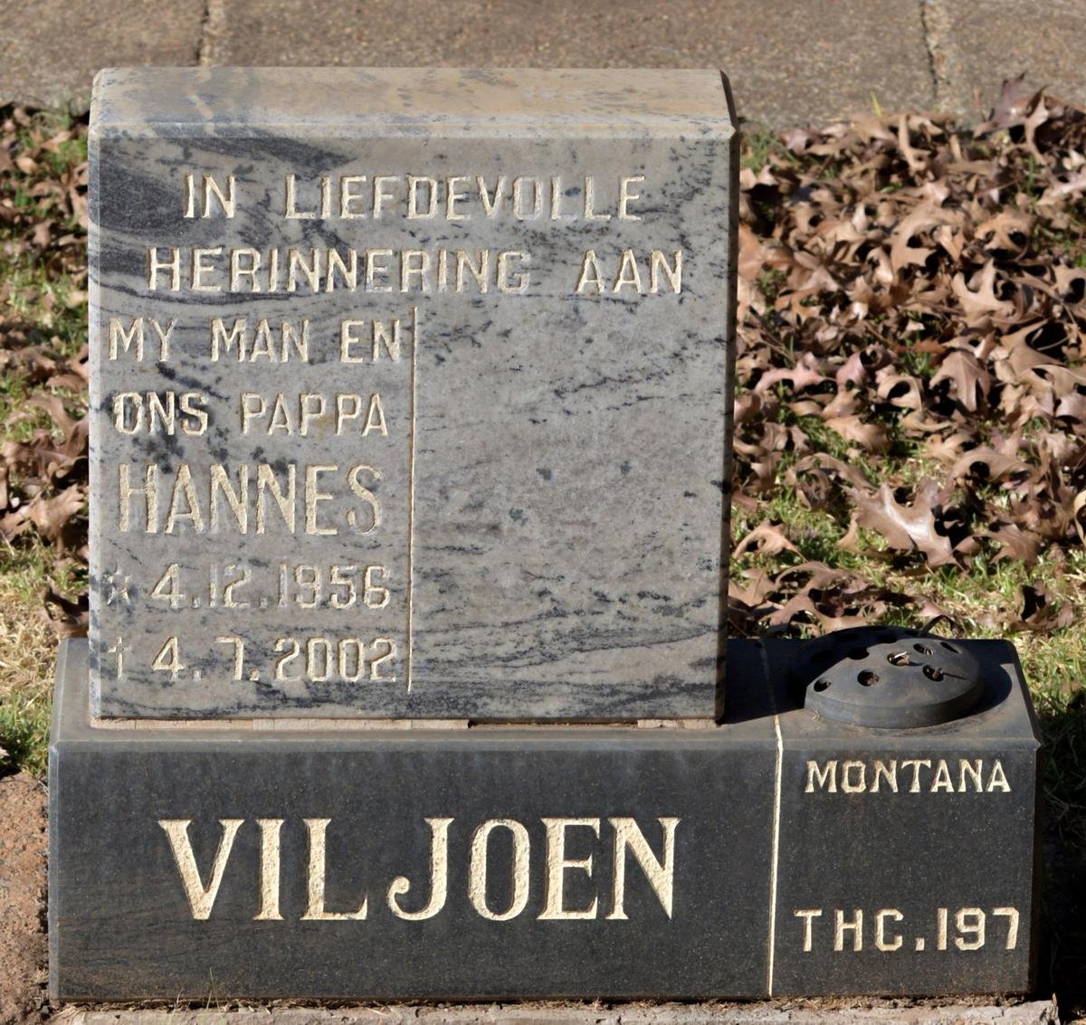 VILJOEN Hannes 1956-2002