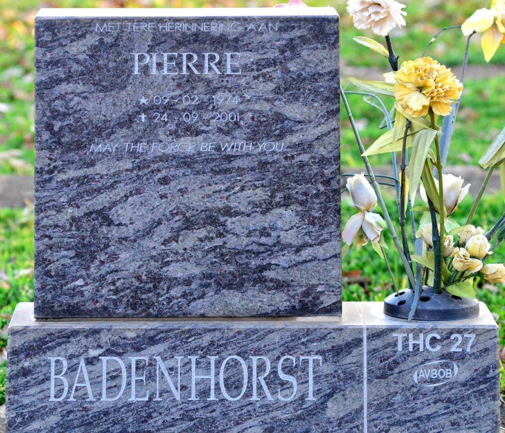 BADENHORST Pierre 1974-2001