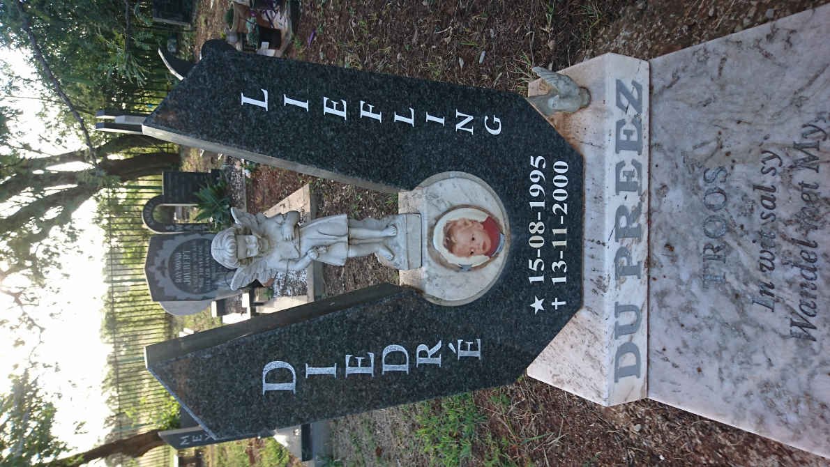 PREEZ Diedré, du 1995-2000
