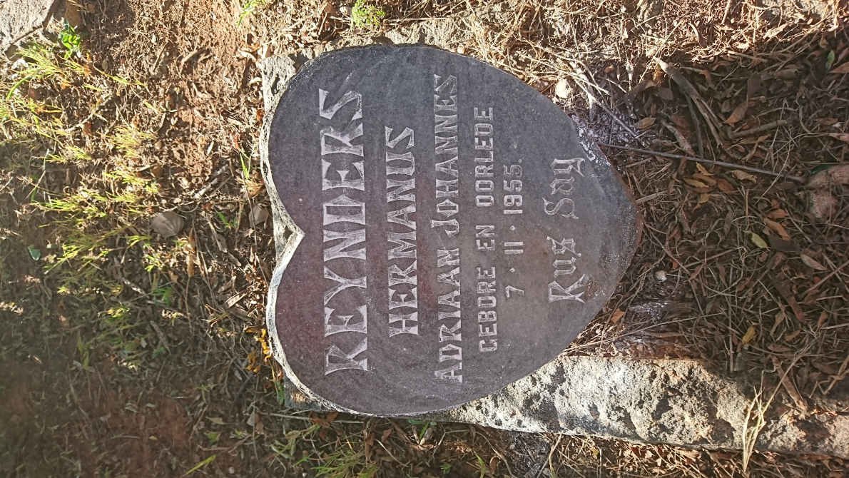 REYNDERS Hermanus Adriaan Johannes 1955-1955