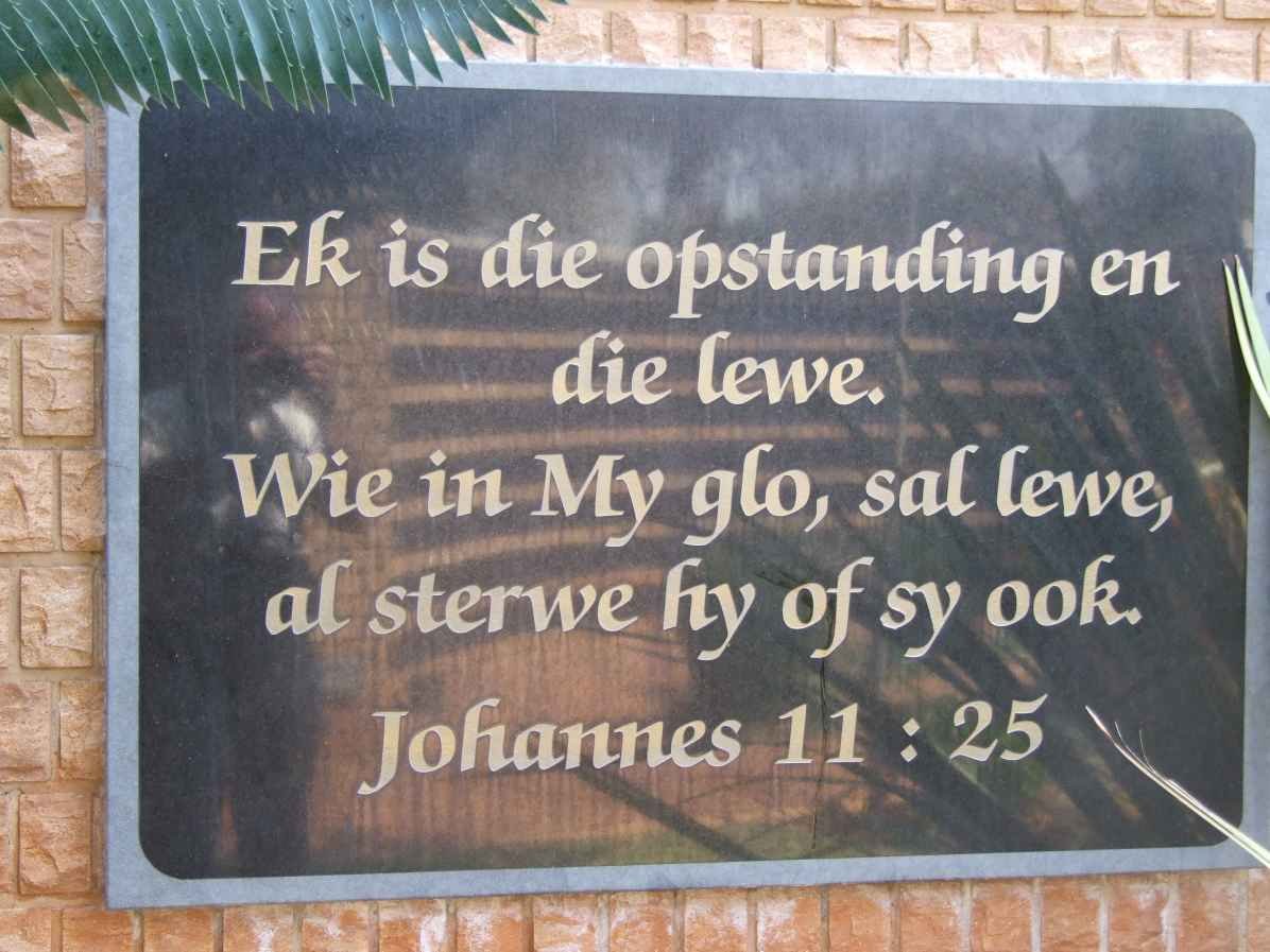 4. Plaque