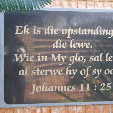 4. Plaque