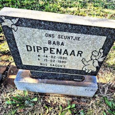 DIPPENAAR 1990-1990