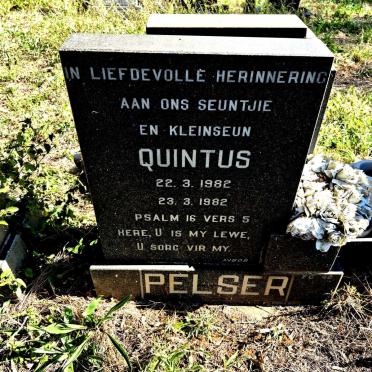 PELSER Quintus 1982-1982