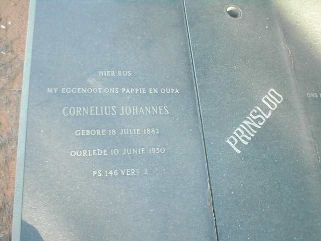 PRINSLOO Cornelius Johannes 1882-1950
