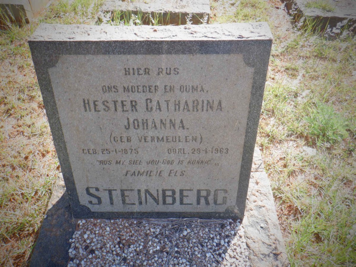 STEINBERG Hester Catharina Johanna nee VERMEULEN 1875-1963
