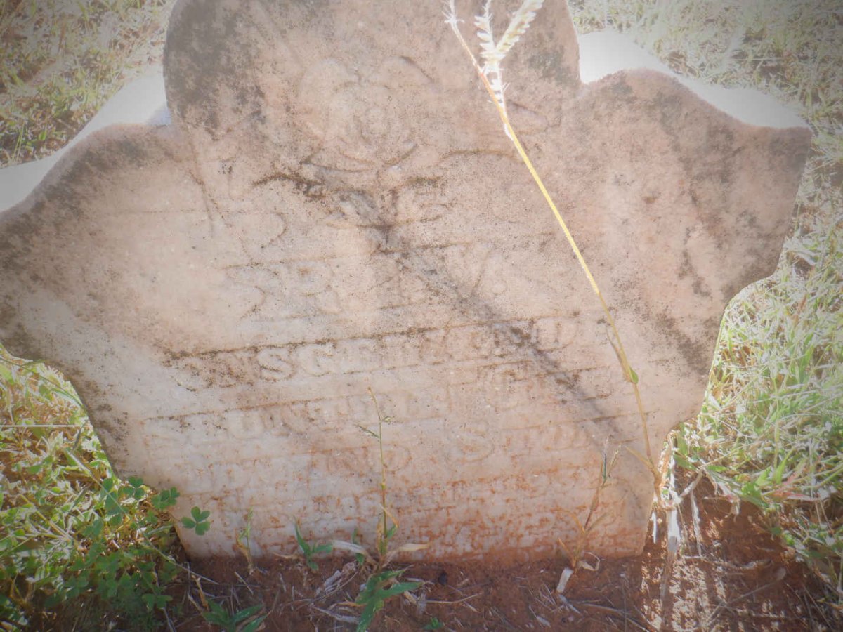 STONE Gert Edmund 1932-