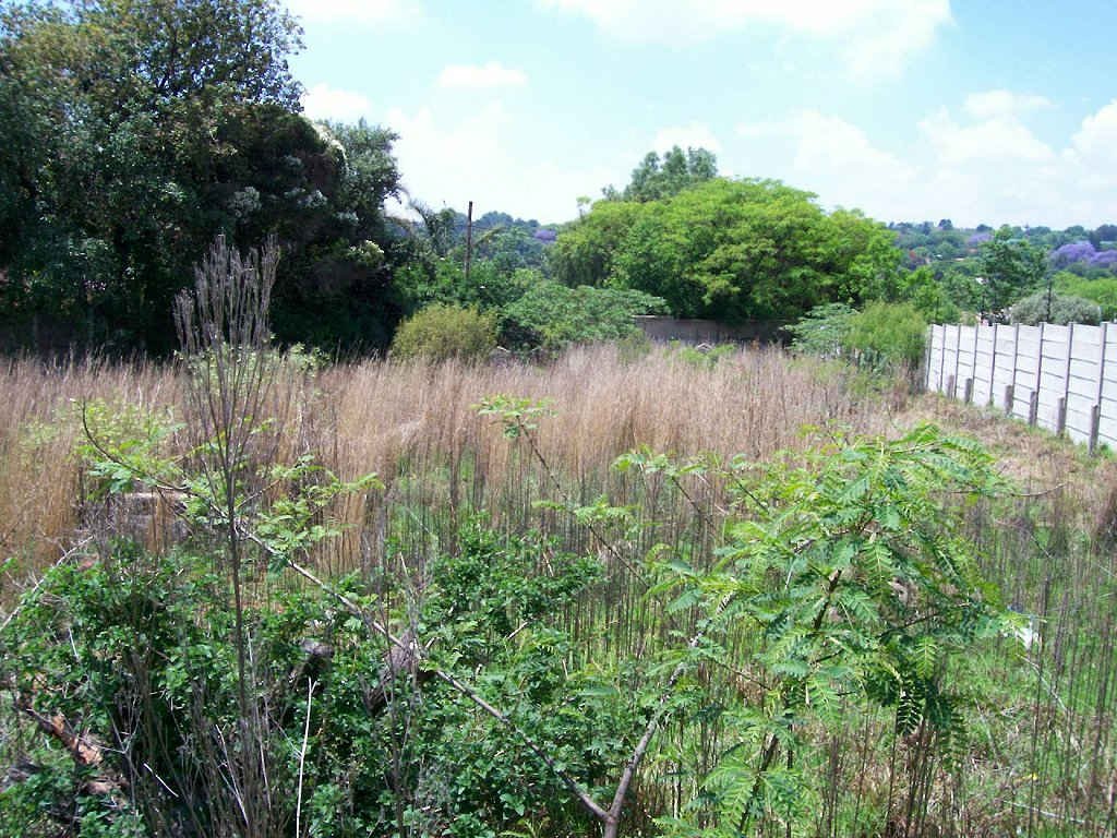 3. Overview
