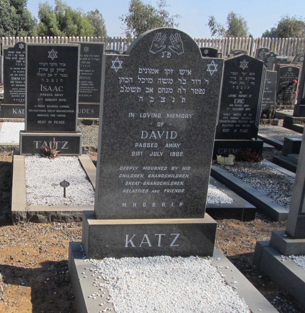 KATZ David -1982