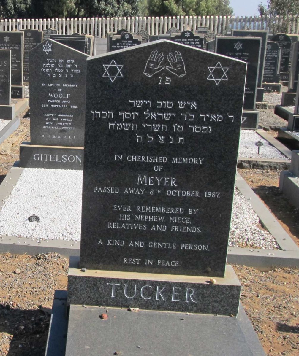 TUCKER Meyer -1987