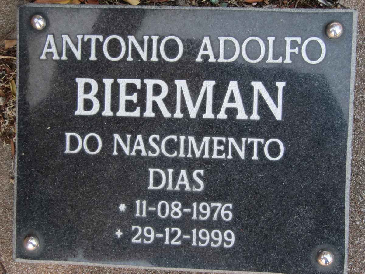 BIERMAN Antonio Adolfo 1976-1999