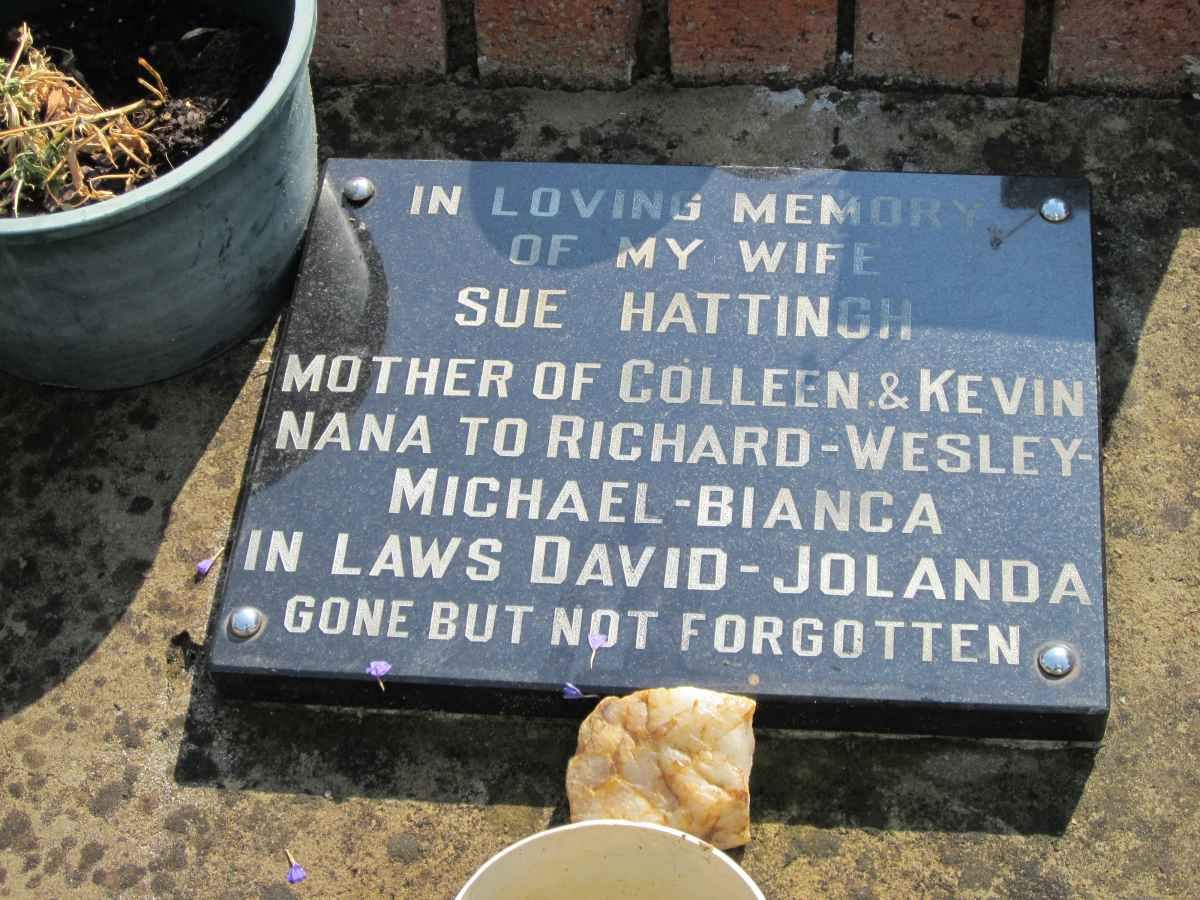 HATTINGH Sue