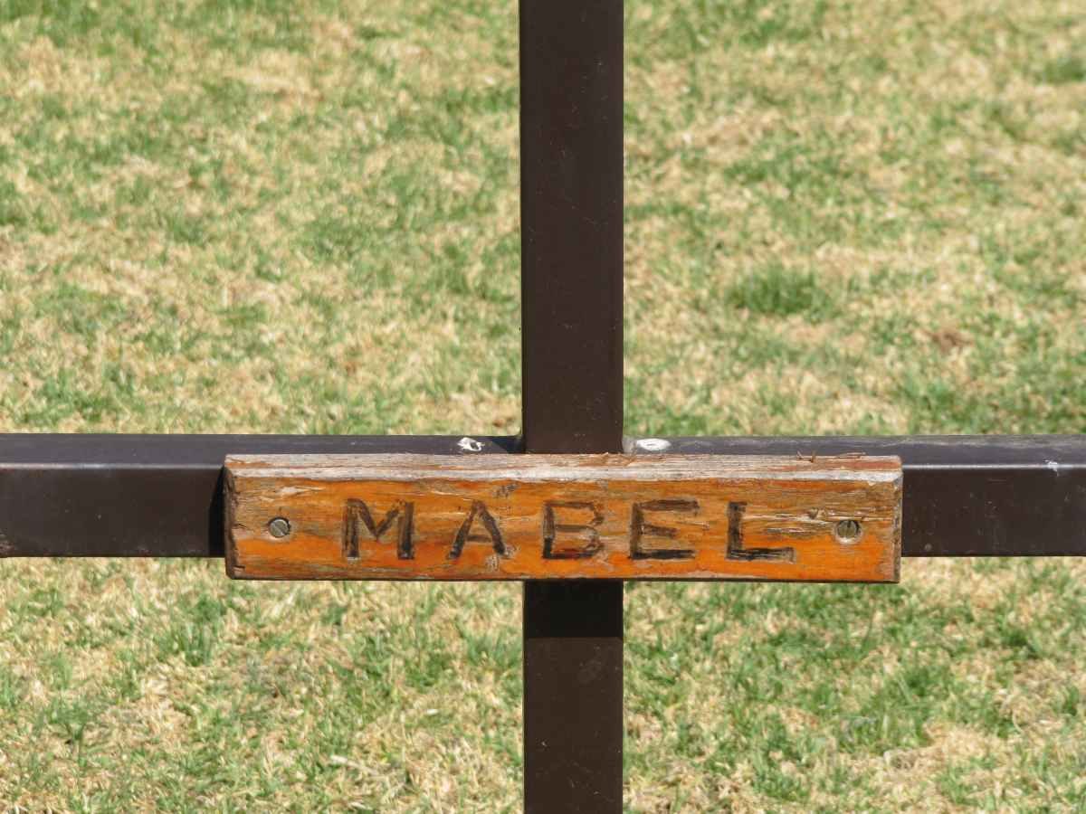 ? Mabel
