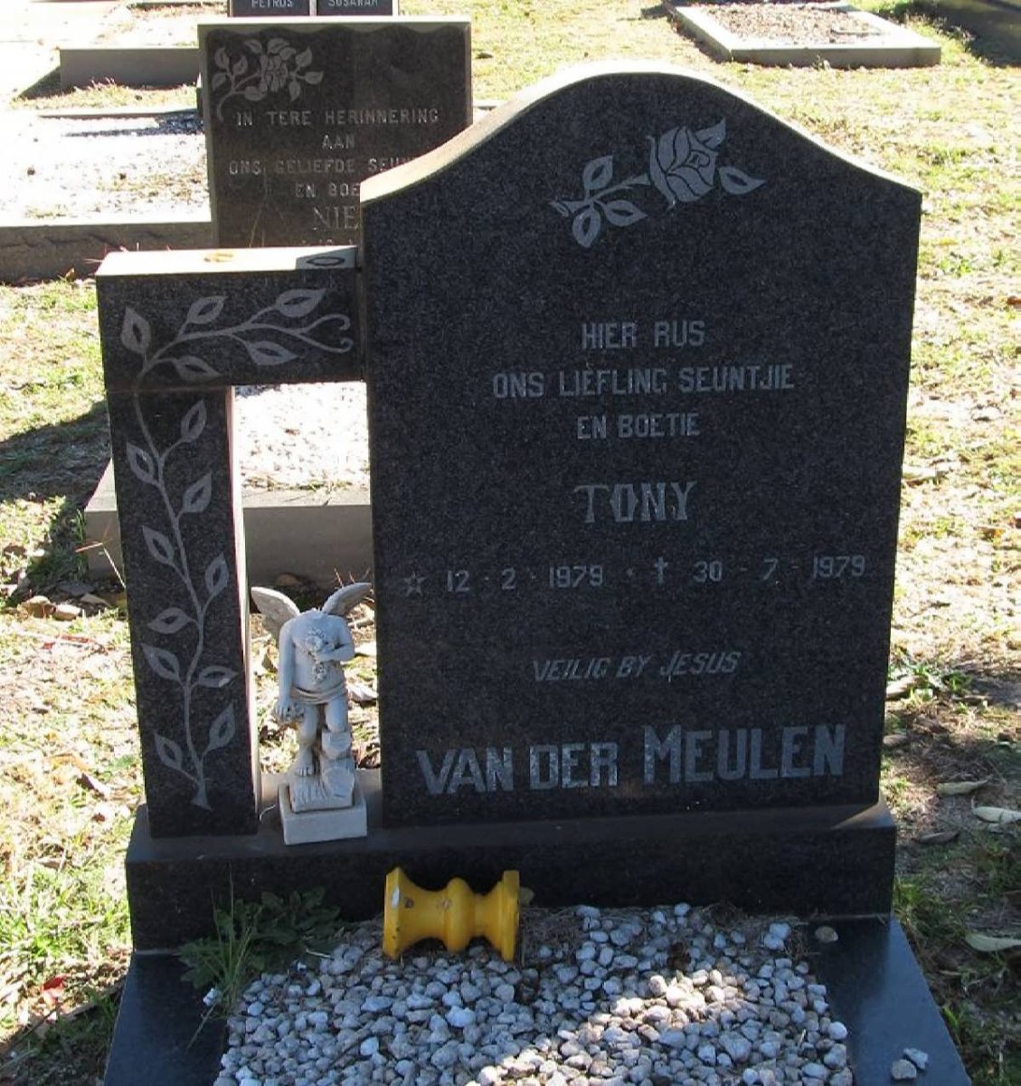 MEULEN Tony, van der 1979-1979