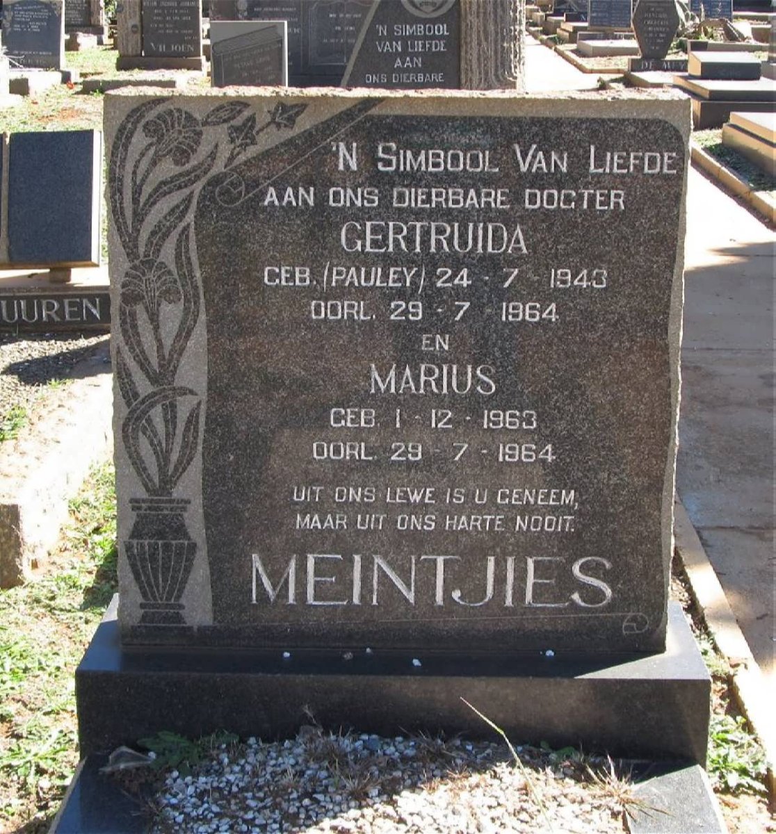 MEINTJIES Marius 1963-1964 :: MEINTJES Getruida nee PAULEY 1943-1964