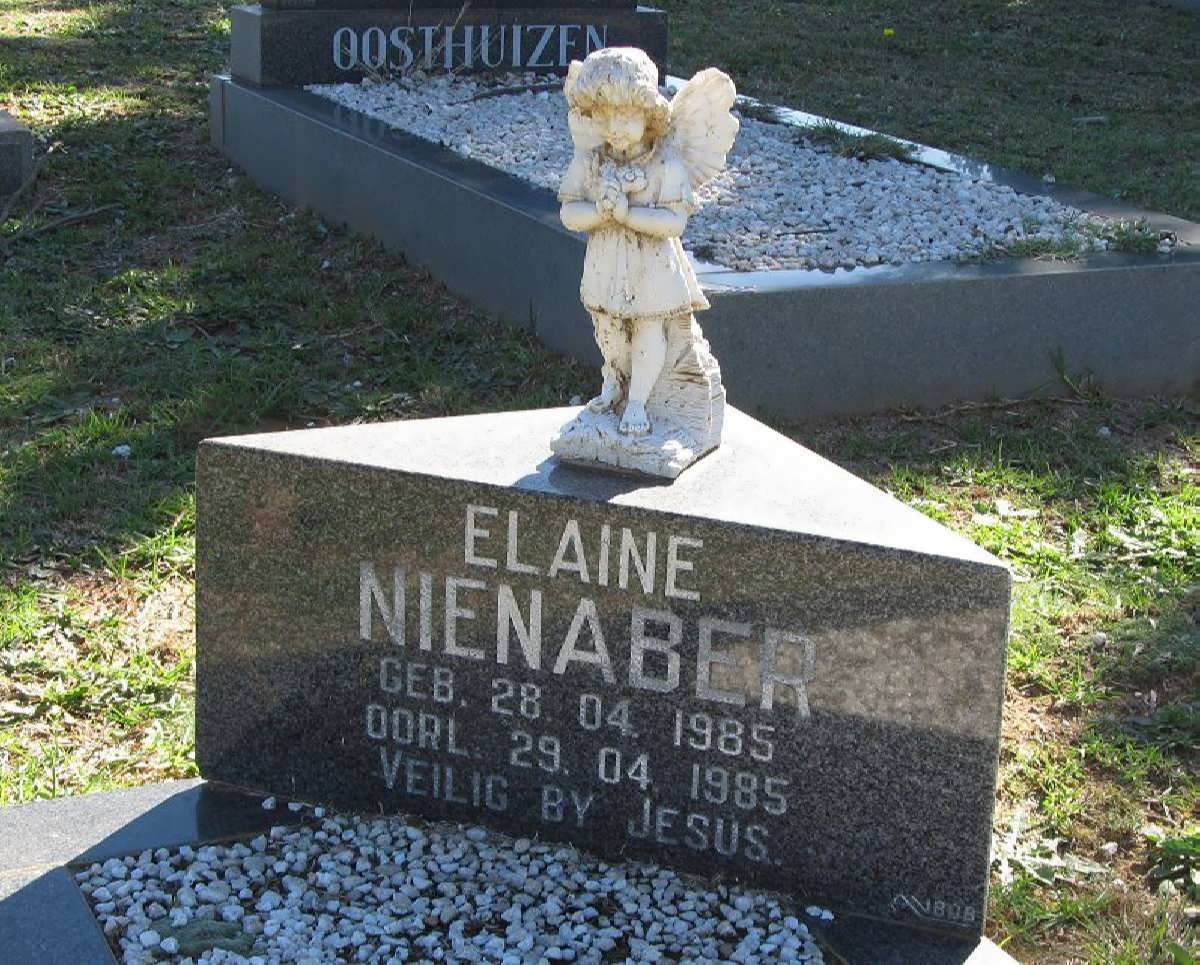 NIENABER Elaine 1985-1985