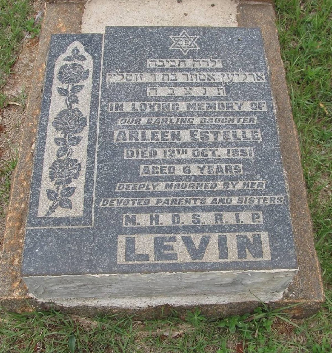 LEVIN Arleen Estelle -1951