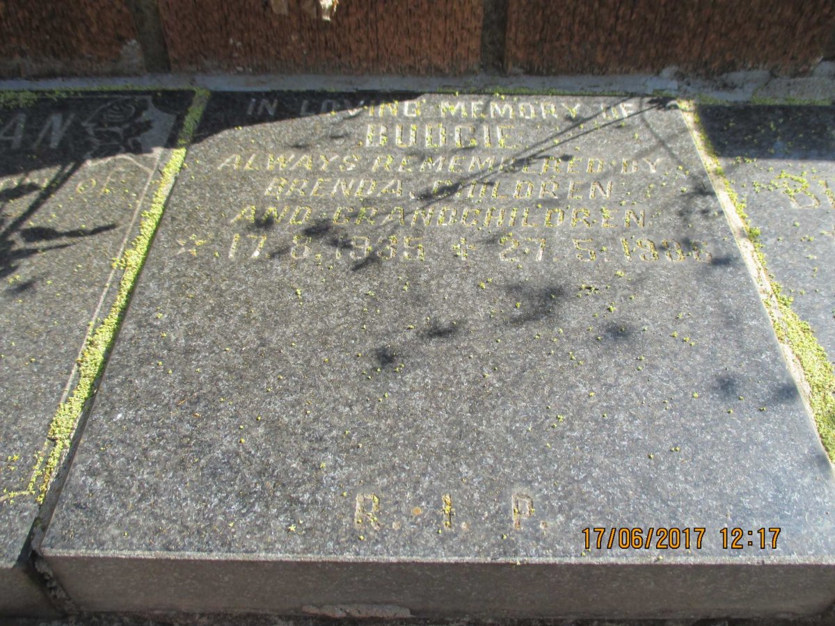 ? Budgie 1935-1996